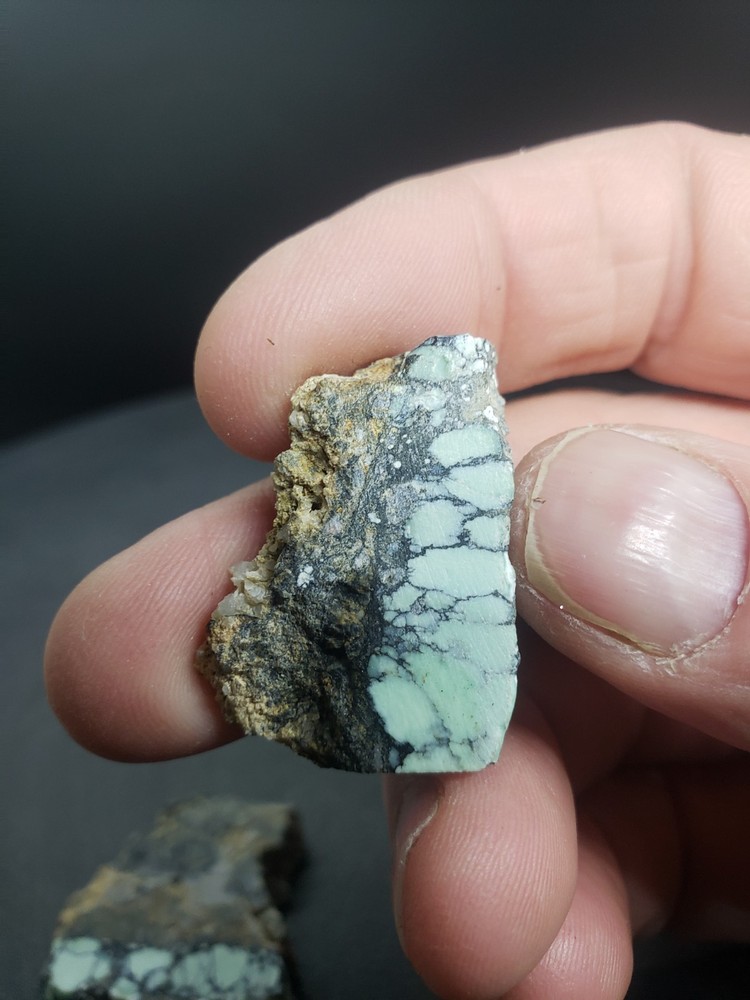 Nevada Gecko Variscite Slabs