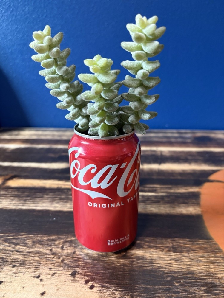 Coca-Cola Can Flower Planter