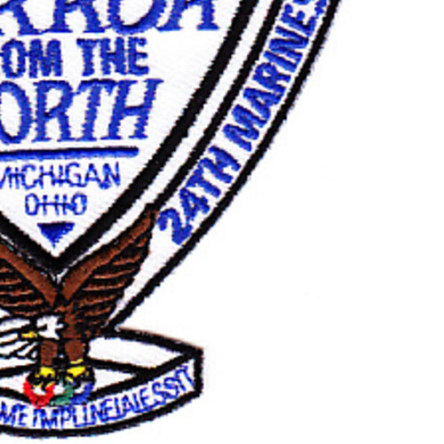 1st Battalion 24th Marine Patch