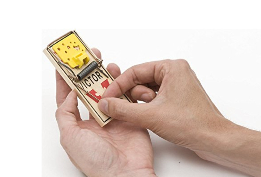 Victor Easy Set Wood/Plastic Mouse Trap 8-Count