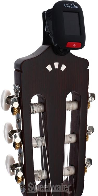 Cordoba CP100 Nylon String Guitar Pack - Spruce Top