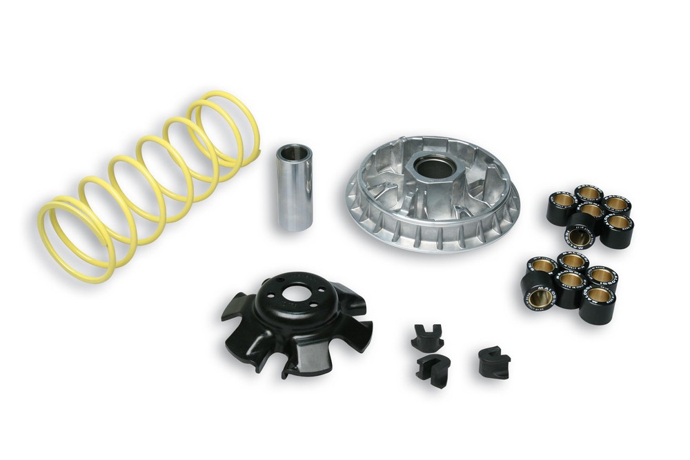 Malossi engine Multivar 5113892