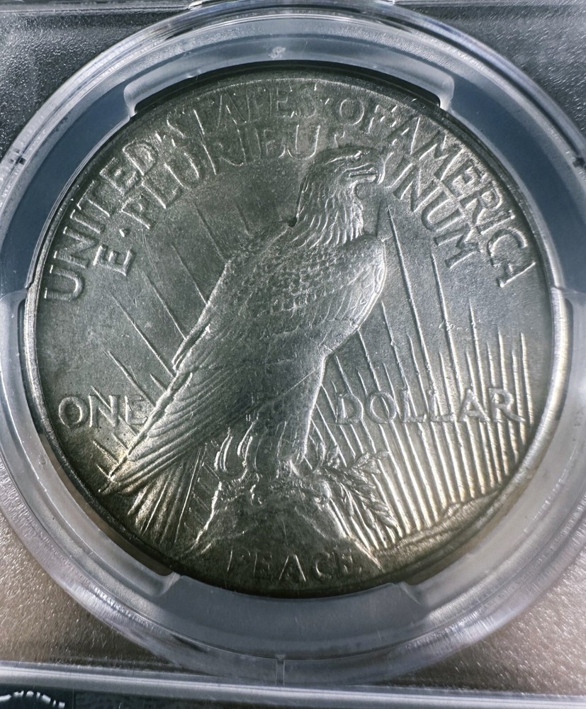 1921 peace silver dollar PCGS Scratch-UNC Details