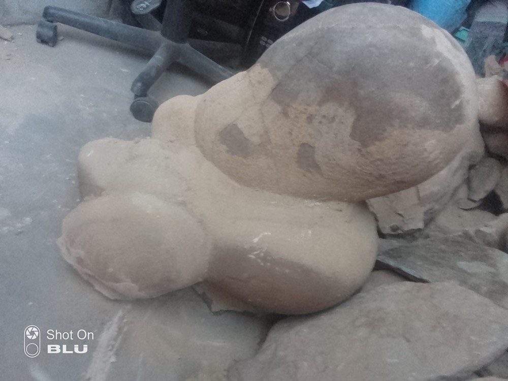 Unknown Possible Dinosaur Nest