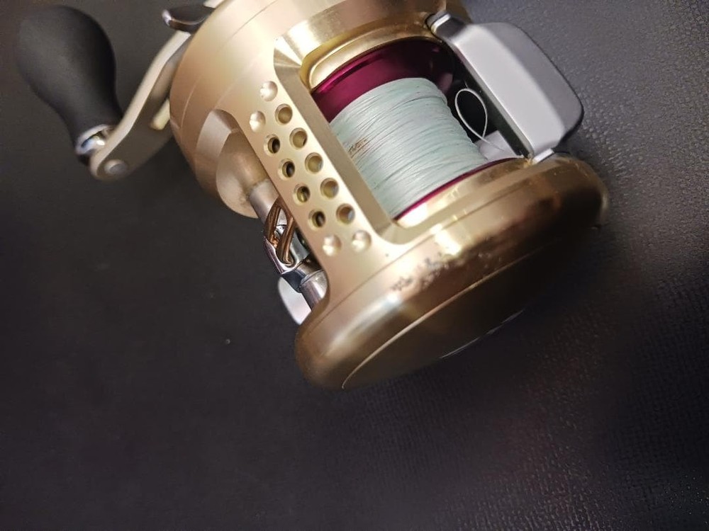 LUNAR 100 Bait Reel Gold