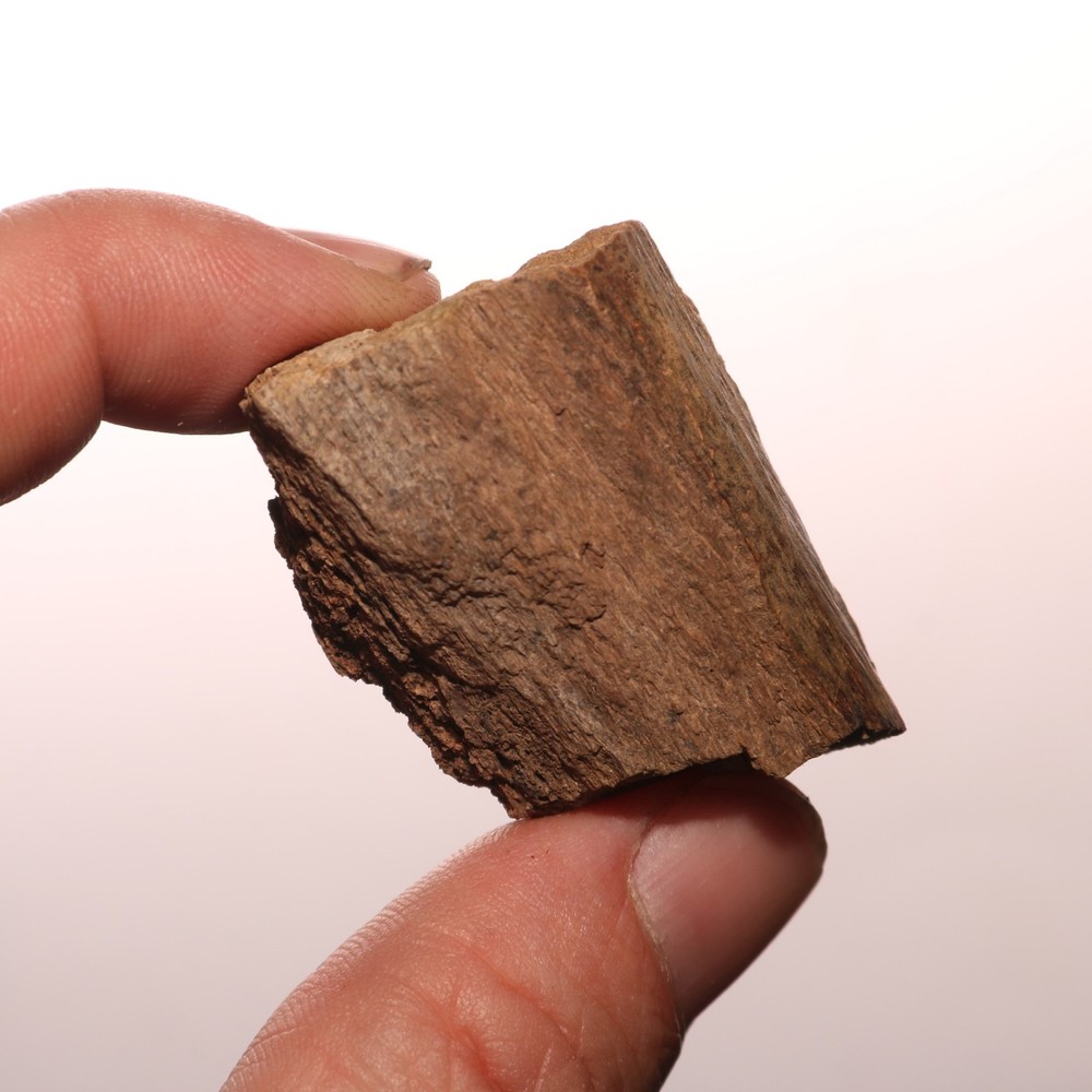 Small Dinosaur Rib Piece Fossil Bone - Hell Creek Formation - Cretaceous