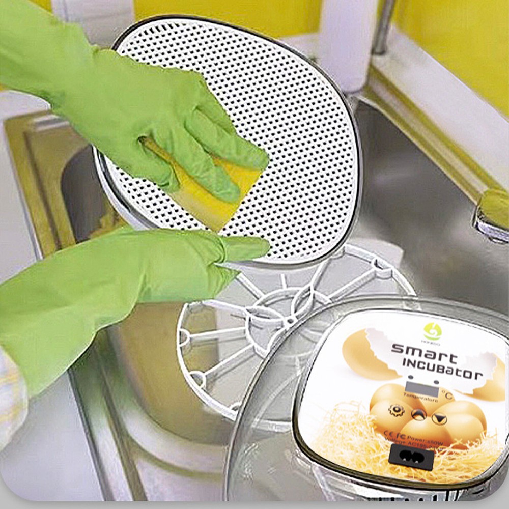 Incubators for Hatching Eggs 12 Eggs with Automatic & Humidity Control