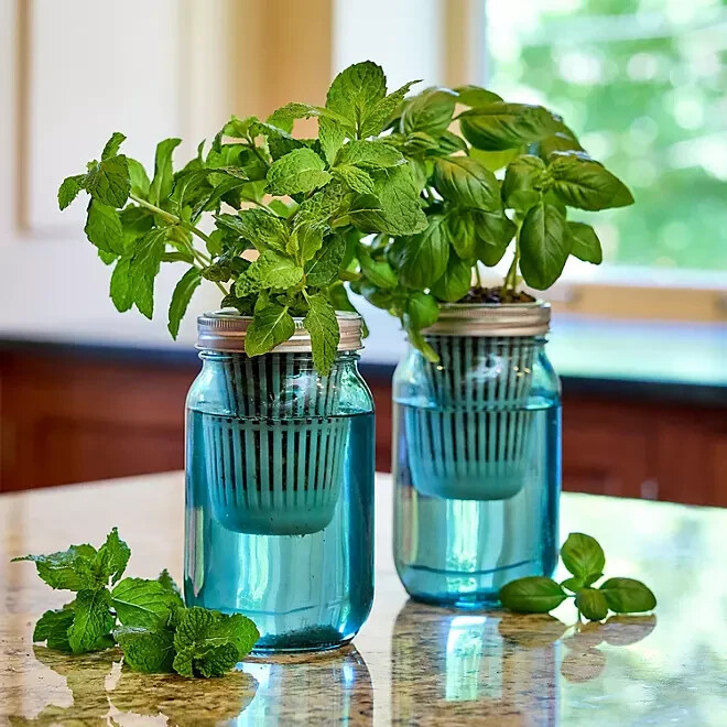 Modern Sprout's 2 Pack Organic Herb Garden Grow Kit