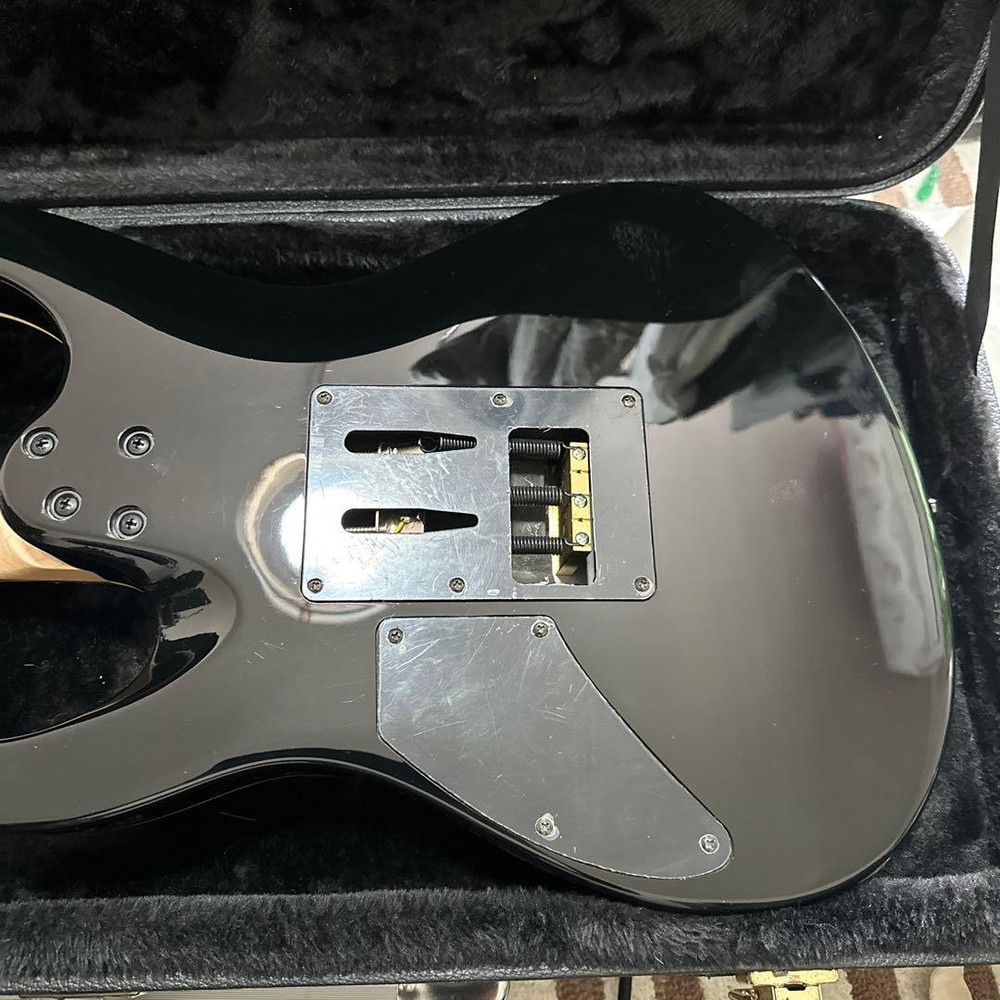 Futra/Mr. Nishio collaboration model, many customizations