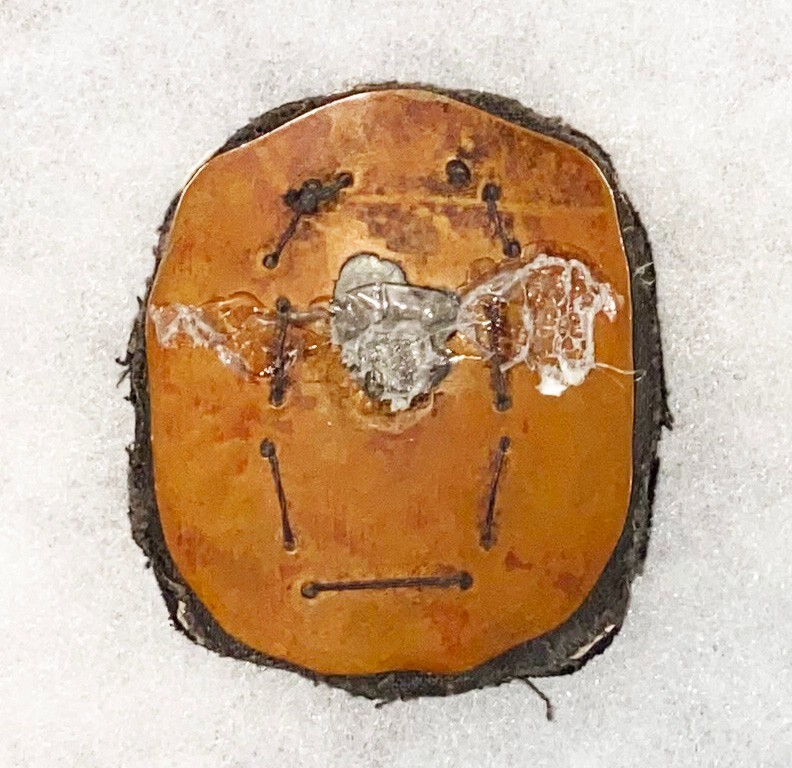 ROC / Taiwanese Bullion Cap Badge