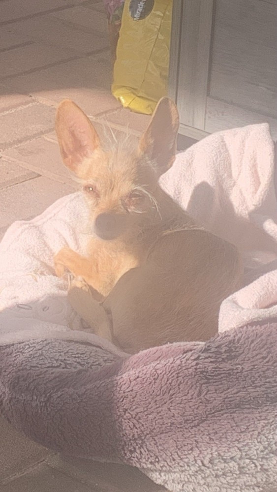 US Army surplus green 404 drawstring accessory bag