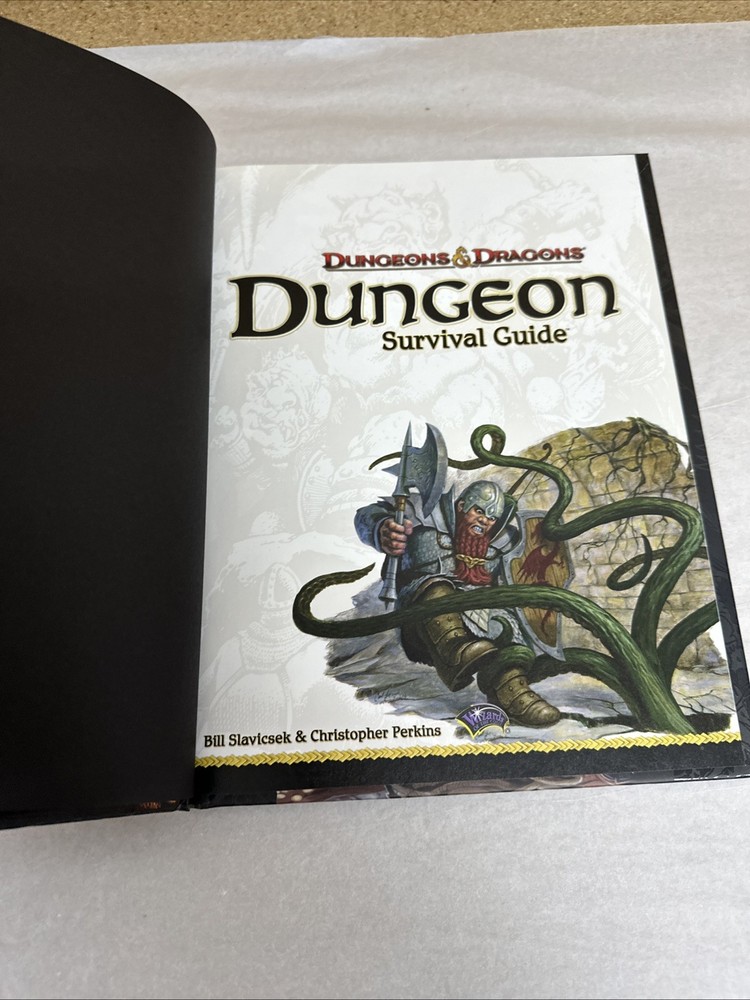 Dungeon Survival Guide D20 Dungeons & Dragons