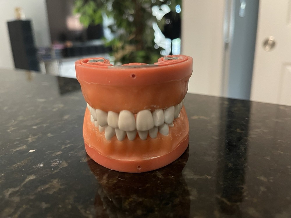 TWO Acadental ModuPRO One MP_R320 ADEX CDCA