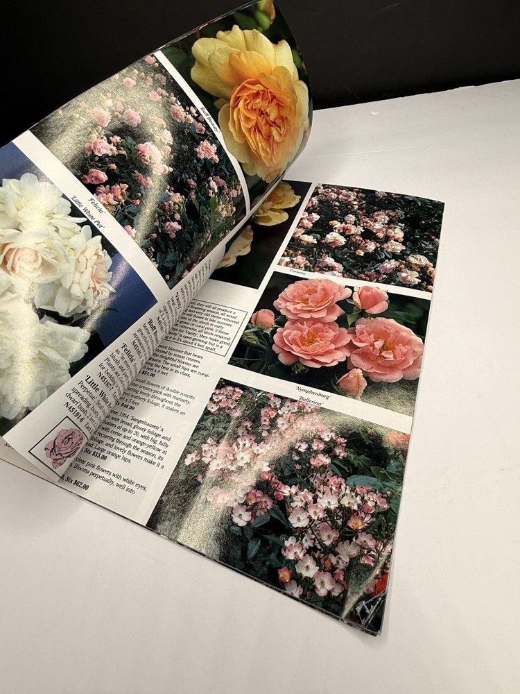 Wayside Gardens Seed Catalog 1991 (As Seen)