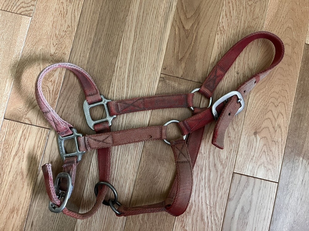 Tex Tan Adjustable Nose Halter Red Pony Size