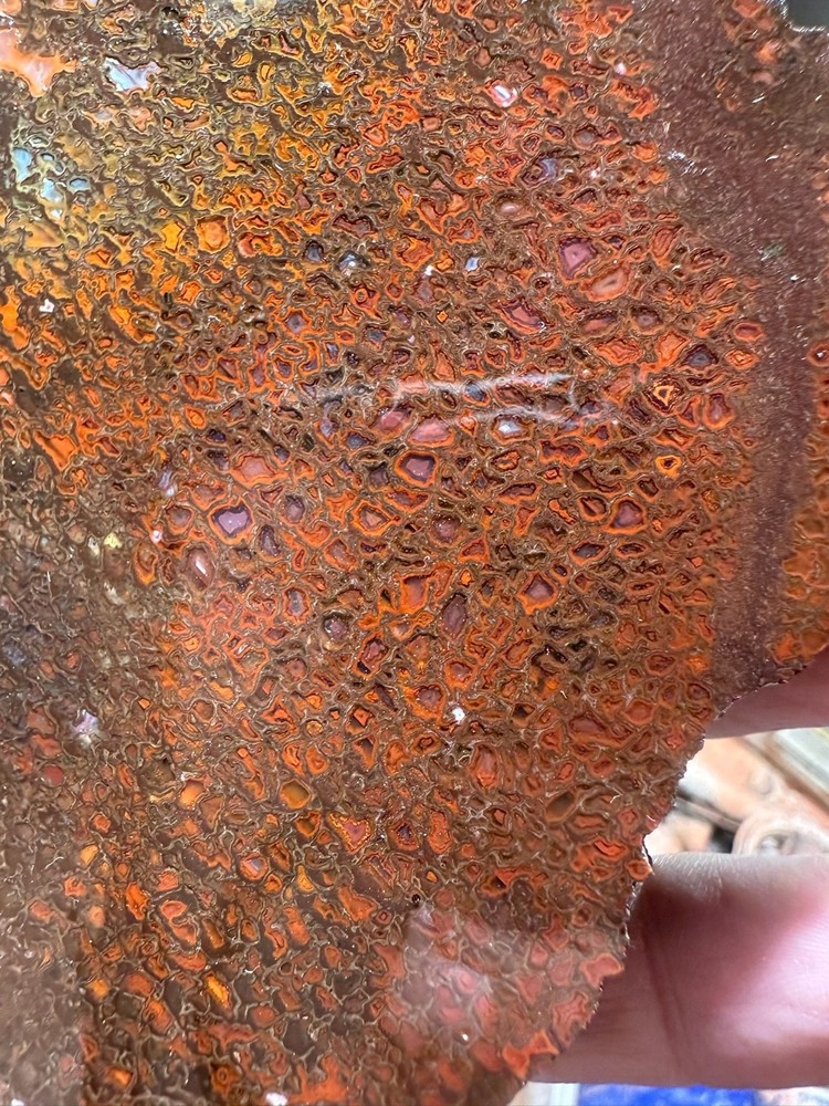 Dinosaur bone rough **hxtled slab.
