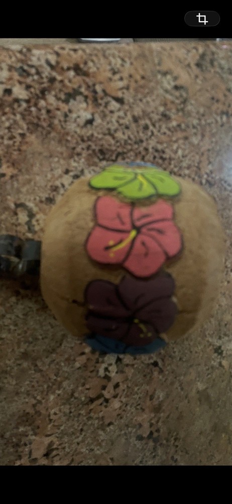 Cruiser Candy Coconut With Flowers