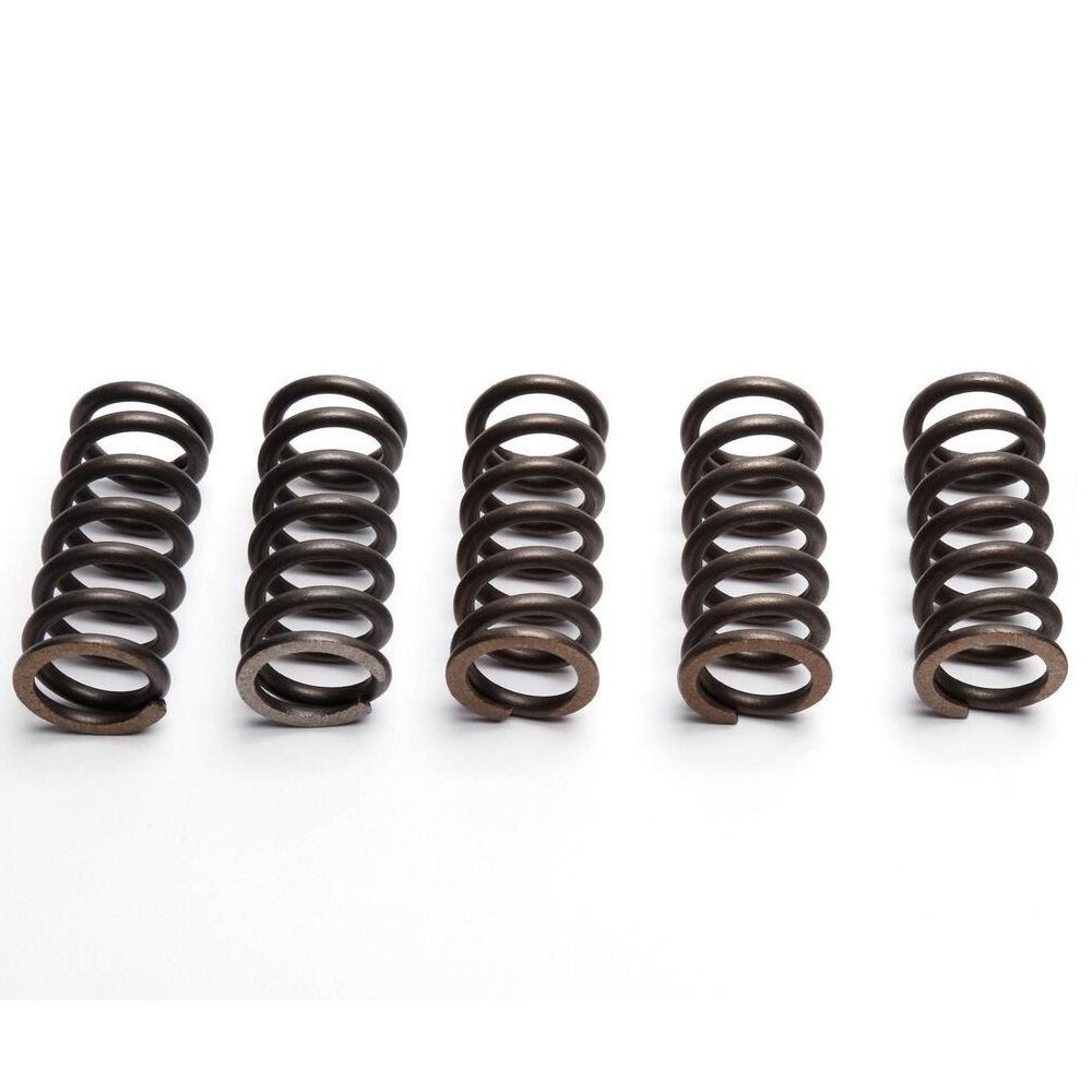 EBC Clutch Spring Set (5 PCS) - CSK262