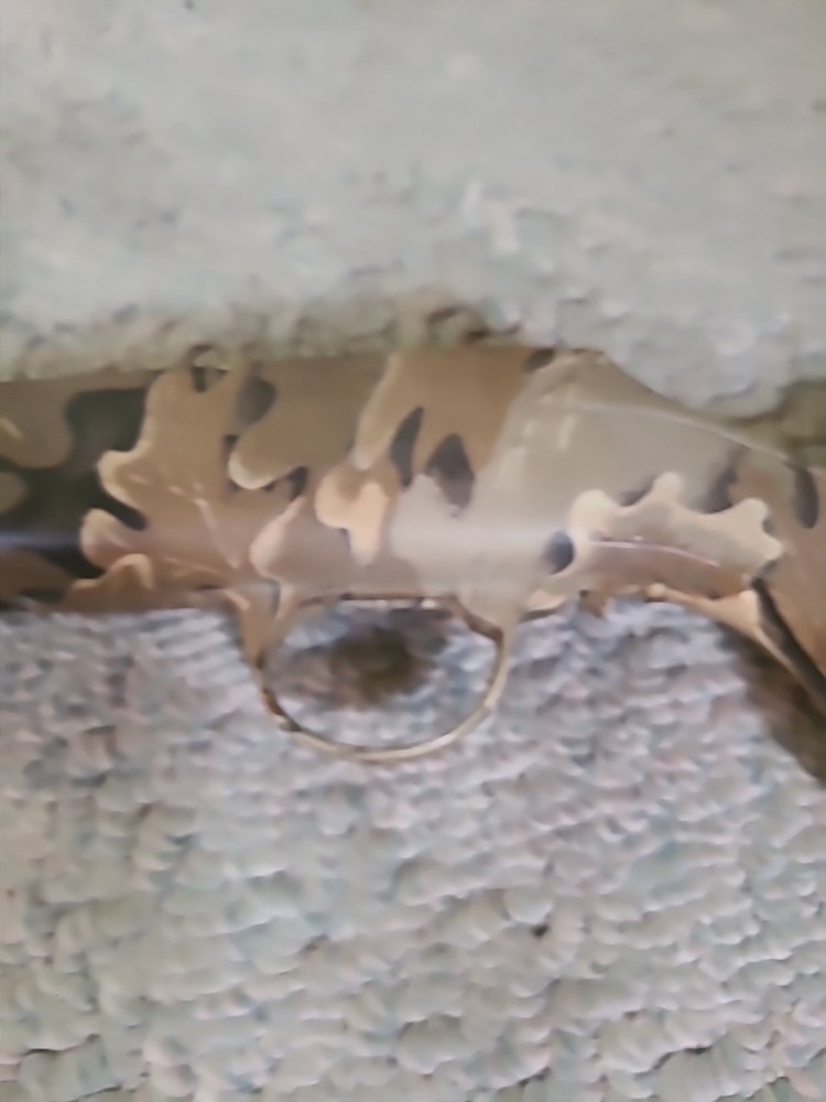 CVA Hunterbolt Magnum Inline Muzzleloader Rifle Camo Stock Buttpad Trigger Guard