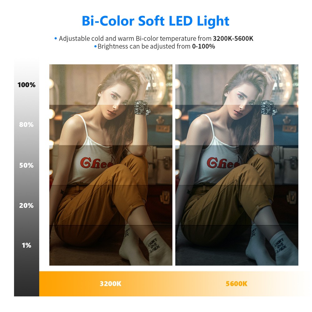 NEEWER LED Video Lighting Kit with Light Stand 2-Pack 384 LED Soft Video Light