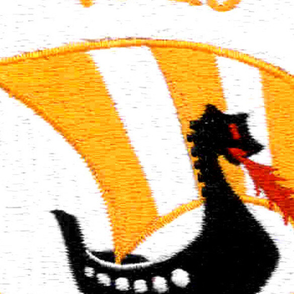 VS-29 Aviation Air Sea Control Squadron Twenty Nine Patch
