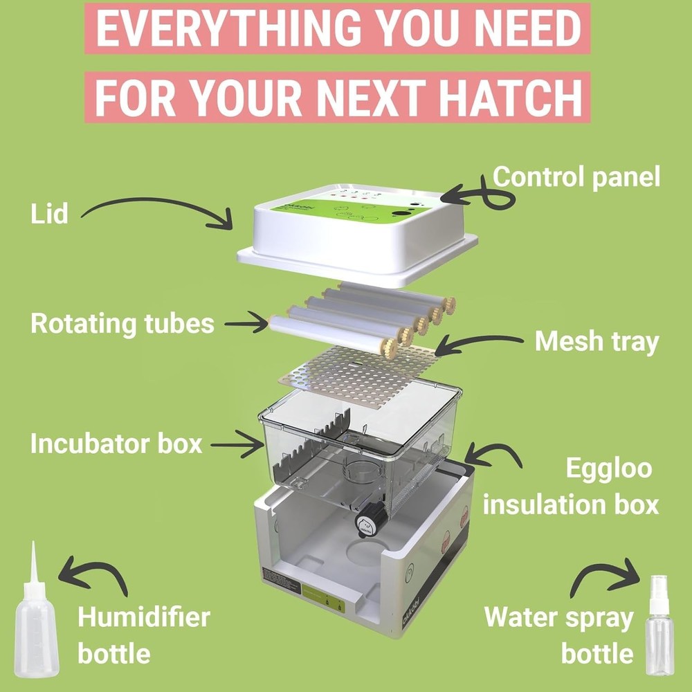 12 Eggs Incubator with Automatic Egg Turning and Humidity Control - New