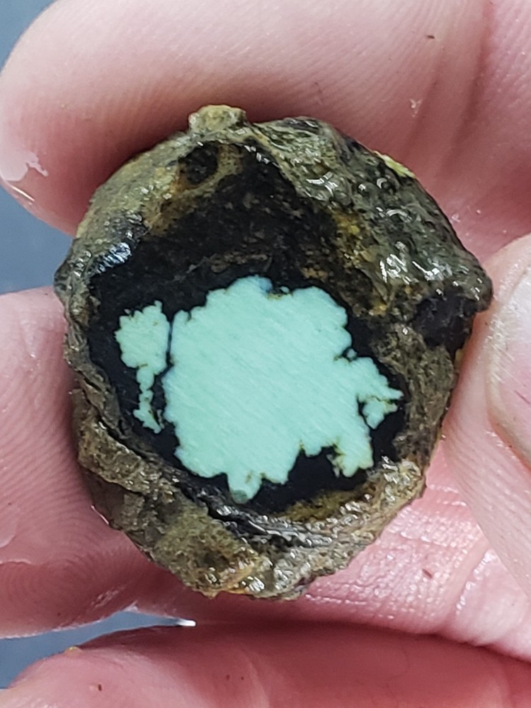 Saguaro Variscite Slabs