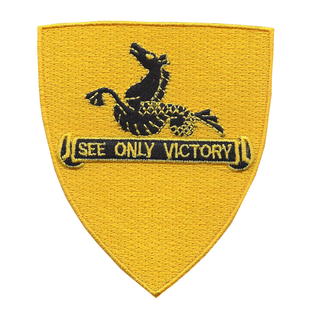 315th Cavalry Regiment Patch
