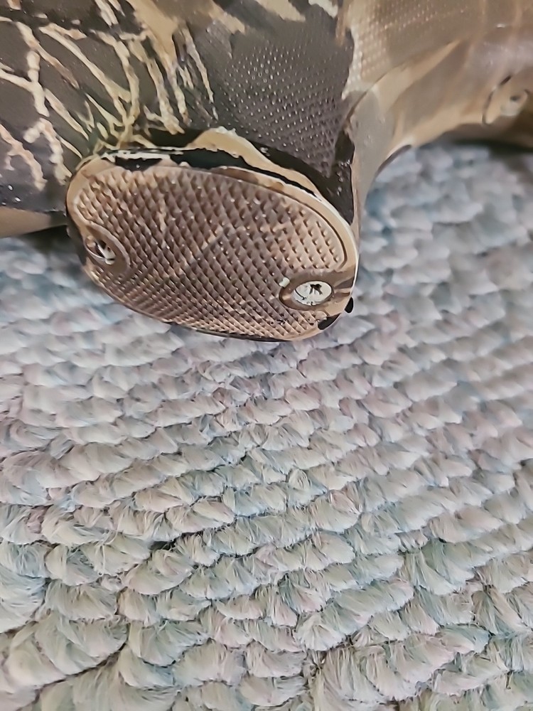 CVA Hunterbolt Magnum Inline Muzzleloader Rifle Camo Stock Buttpad Trigger Guard