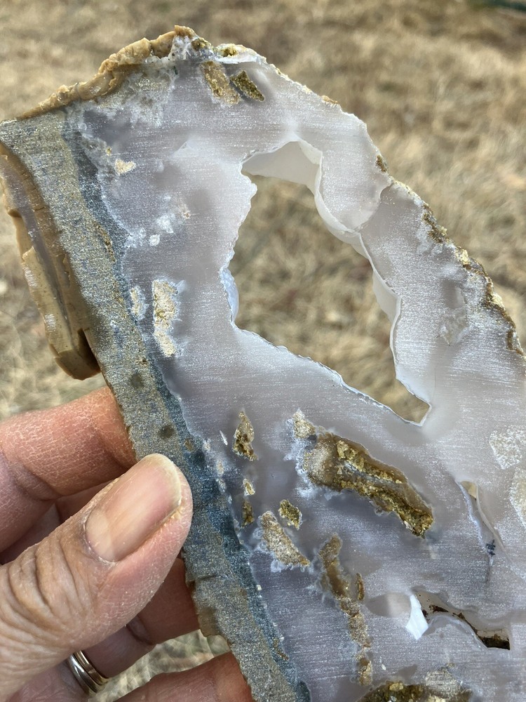 Agatized Limb Cast Slab (Indonesia)