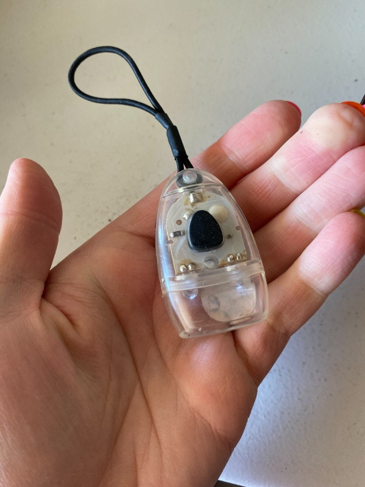 Small Light Clear with On/Off Switch, LED, Works Great, Stretch Elastic Band,