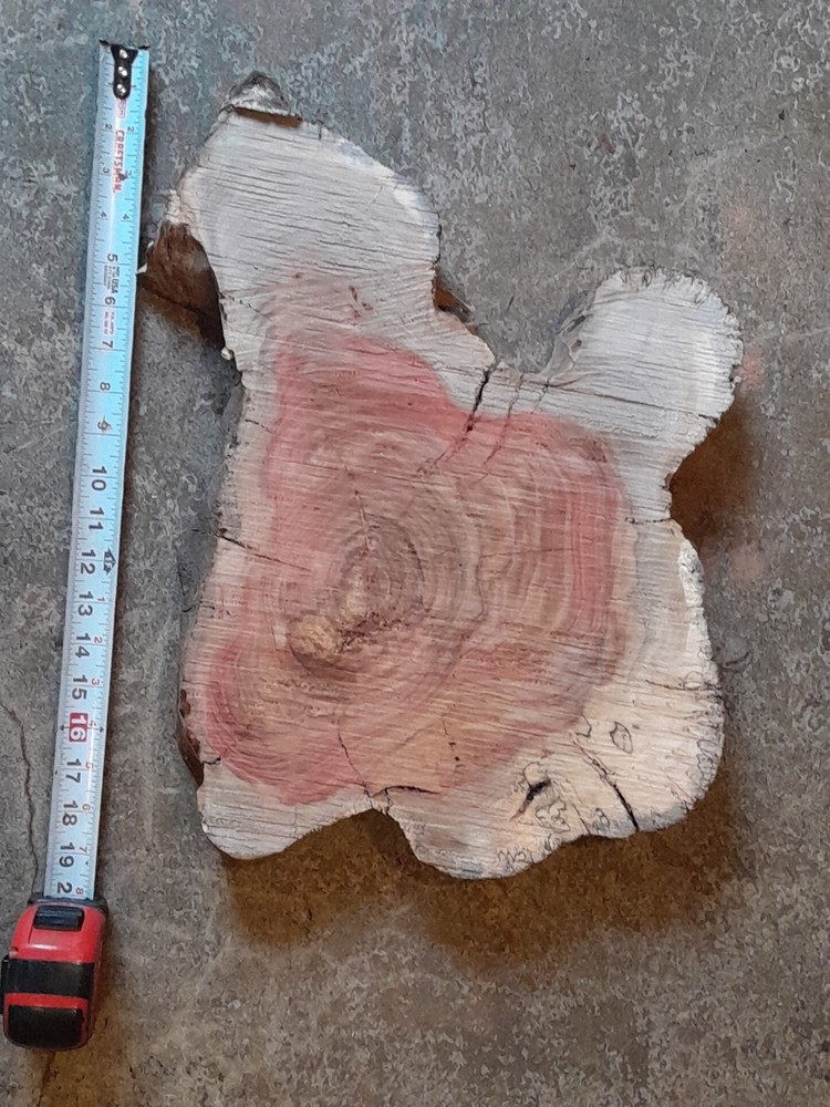 2 Inch Thick Carob Slab