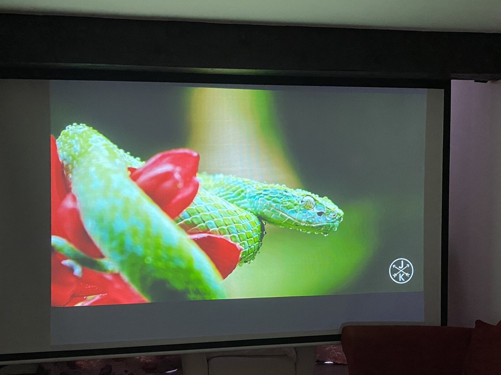 Sanyo PLC-XE20 LCD Projector With Remote