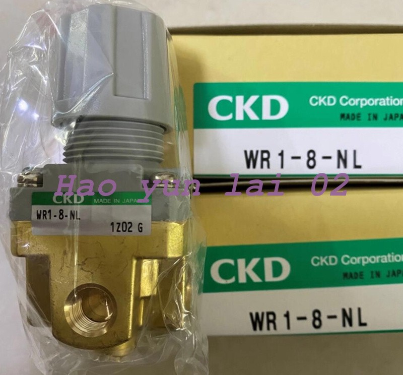 1PCS New For CKD Water Pressure Reducing Valve WR1-8-NL
