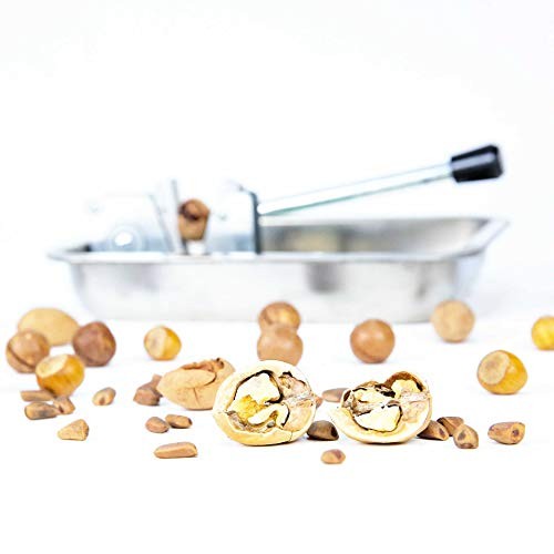 Mechanical Heavy Duty Nut Cracker Walnut Pecan Hazelnut Sheller with Storage