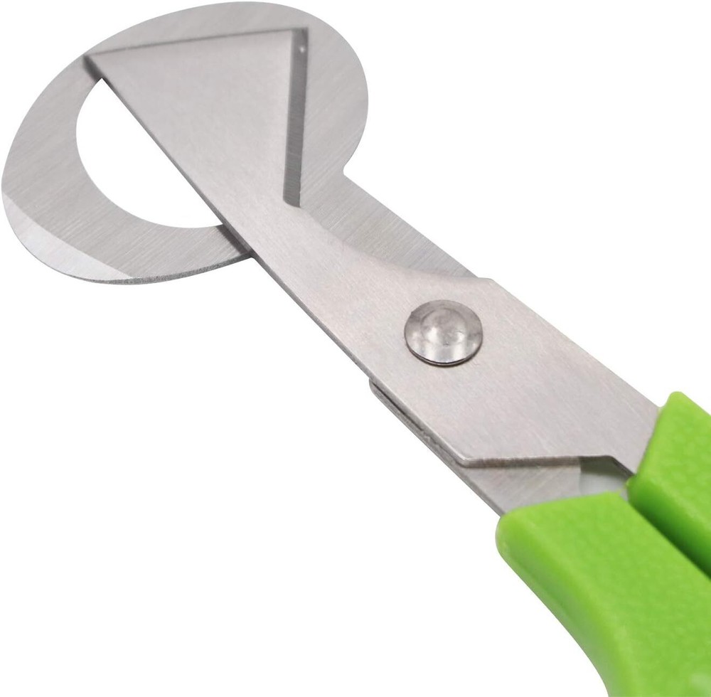 2Pcs Quail Egg Roast egg scissors Cutter Scissors Kitchen Egg Shears Tool(Green)