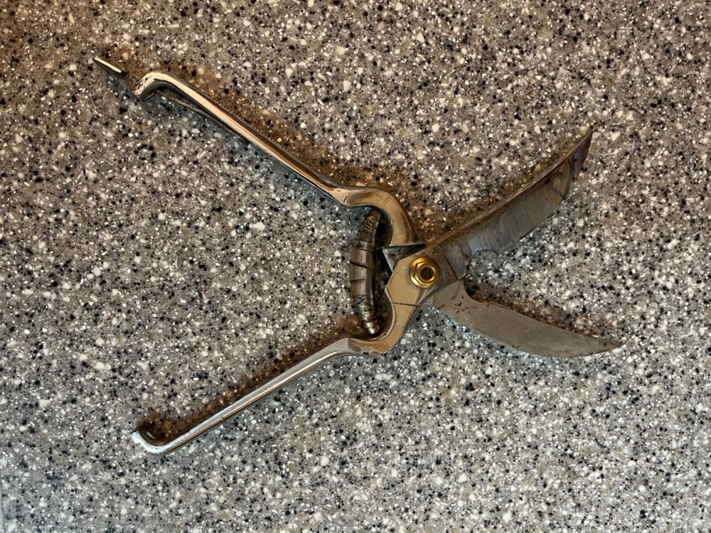 pruning shears vintage