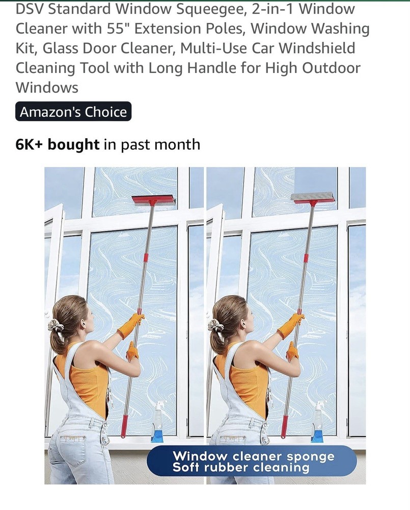 DSV Standard Window Squeegee
