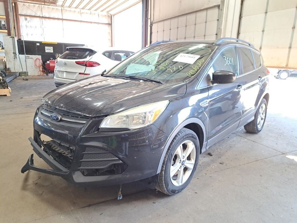 2015 Escape Jack Sku#4182999