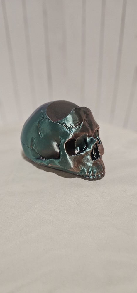 Playstation 5 Skull Controller Holder Tri-Color