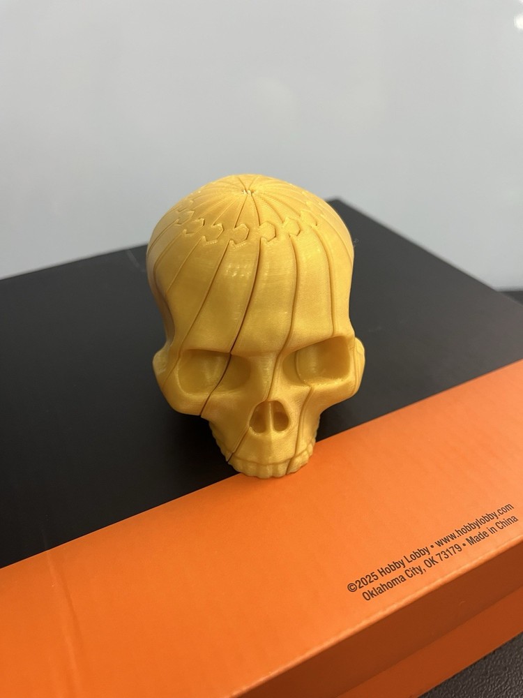 3D printed Articulated Skull