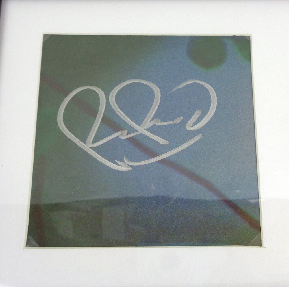 Robin Pecknold Fleet Foxes Signed Autograph Shore CD Framed PSA/DNA COA