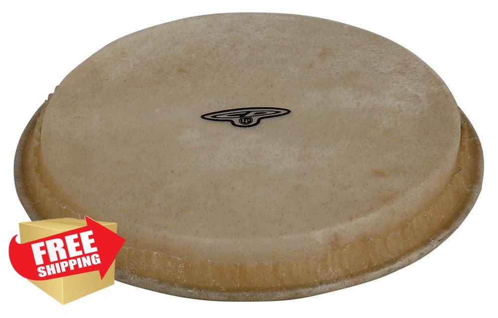 Latin Percussion LP CP221 Large Replacement Drum Head