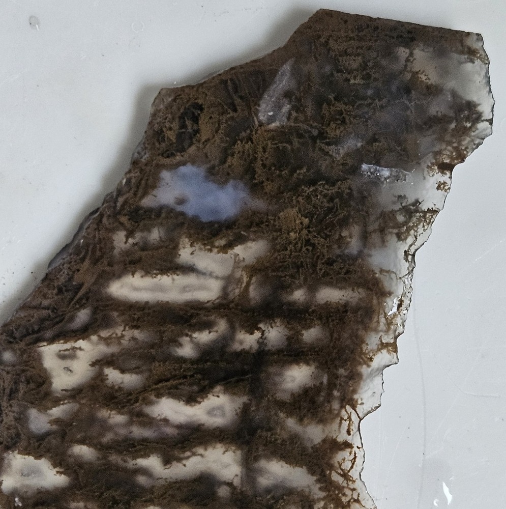 Plume Agate Thin Slab 63 Grams
