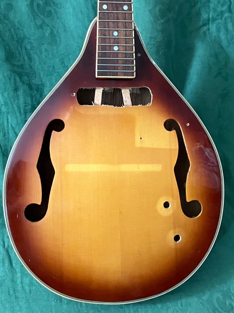 Mandolin Import Neck/ Body Part (for restore)
