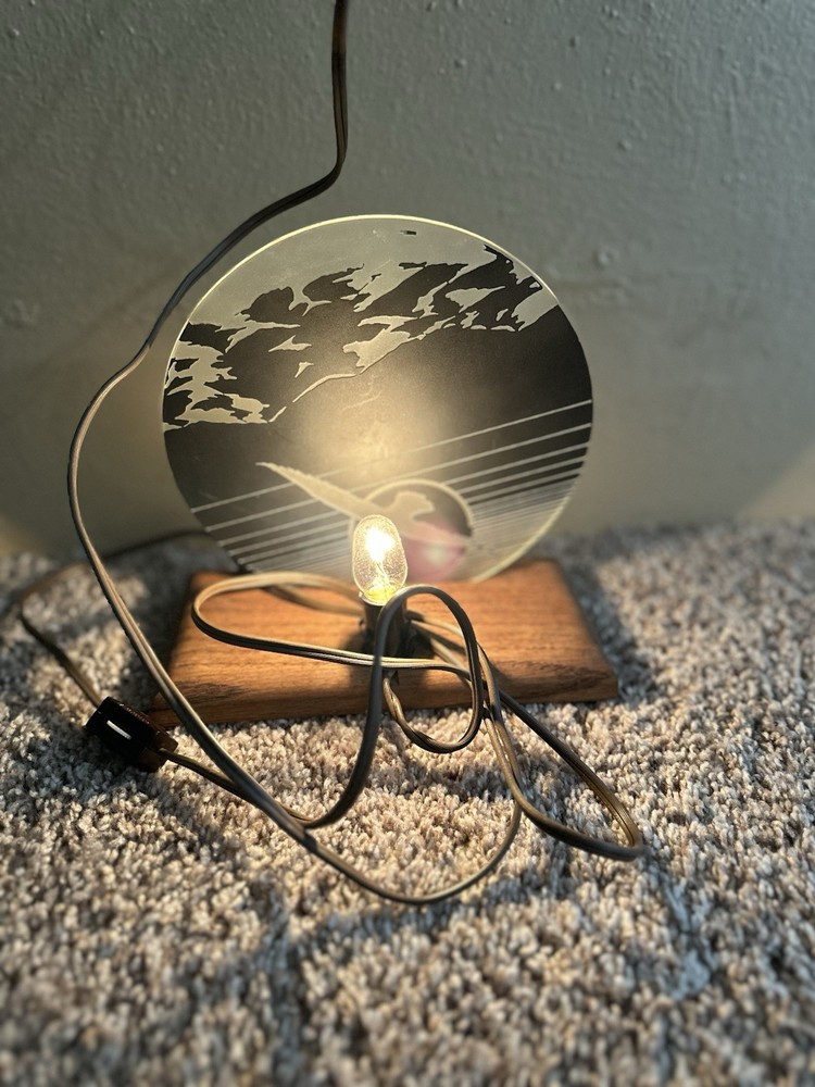 VINTAGE LIGHTED MIRRORED NIGHTLIGHT Bird Flying Skylight RARE