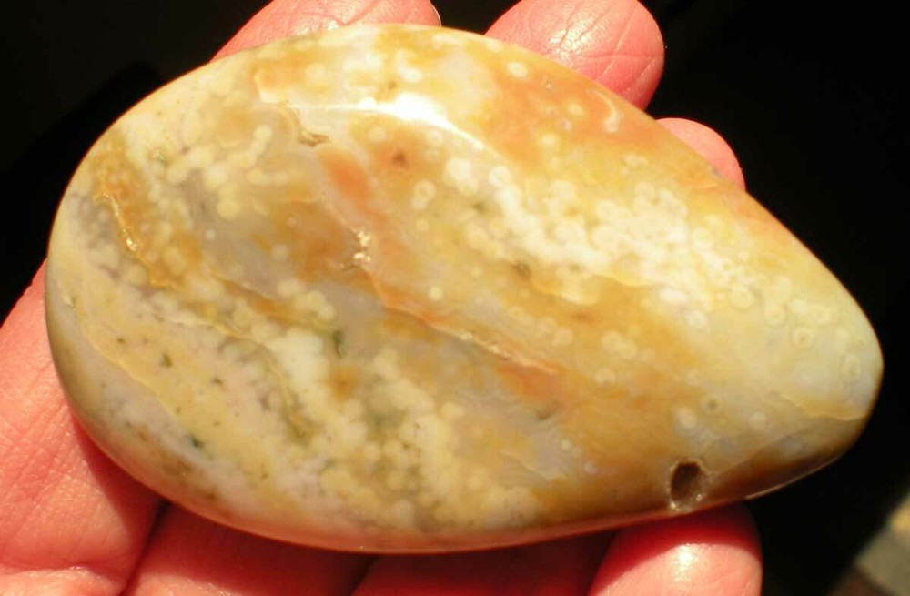 Ocean Jasper Palm Stone sc687h