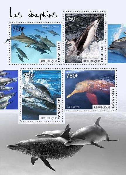 2014 TOGO MNH. DOLPHINS   |  Y&T Code: 4082-4085  |  Michel Code: 6161-6164