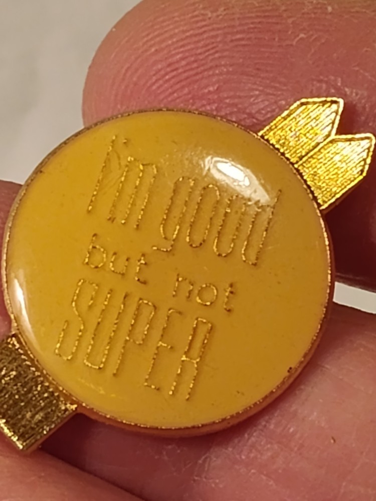 Vintage 1980s Ski Level Commentary Lapel Pin
