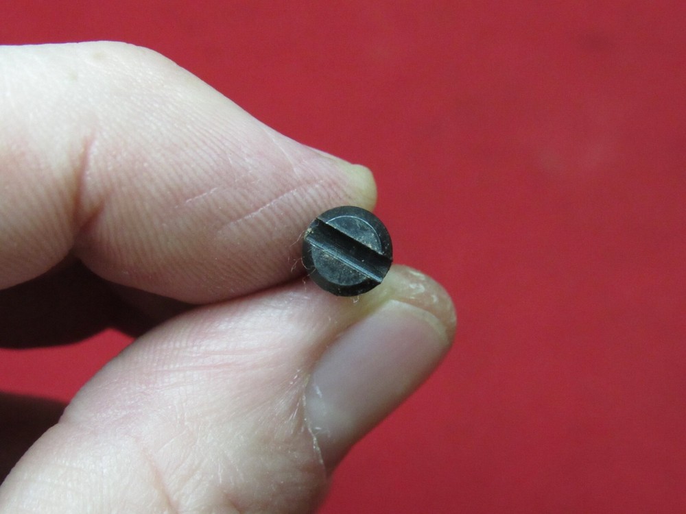 Ruger 10/22 Barrel Band Screw